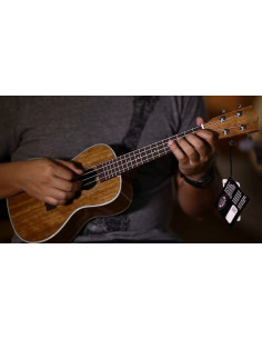 KALA KA-CG Ukelele concierto en caoba