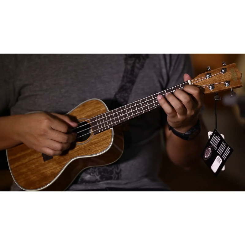KALA KA-CG Ukelele concierto en caoba