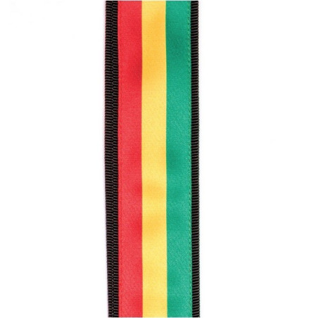 PLANET WAVES 50PLA06 Correa rasta para guitarra o bajo