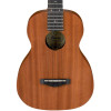 IBANEZ UKC10 Ukelele concierto con estuche en lona
