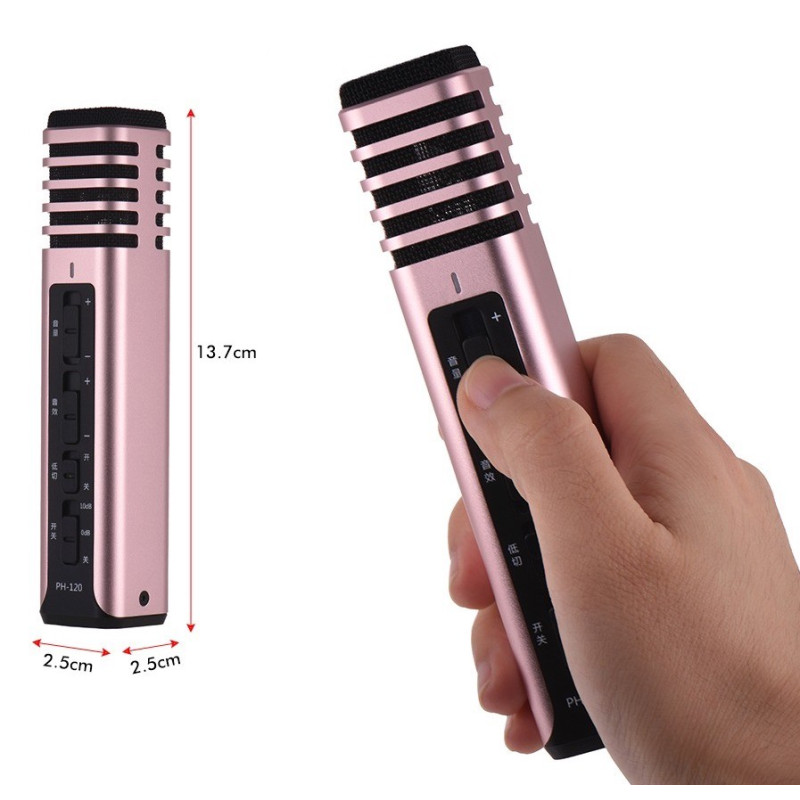 TAKSTAR PH-120 Microfono para kareoke