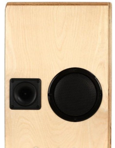 LATIN PERCUSSION LP1440 Cajon con amplificador y bluetooth