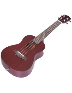 ALOHA 920C Ukelele concierto