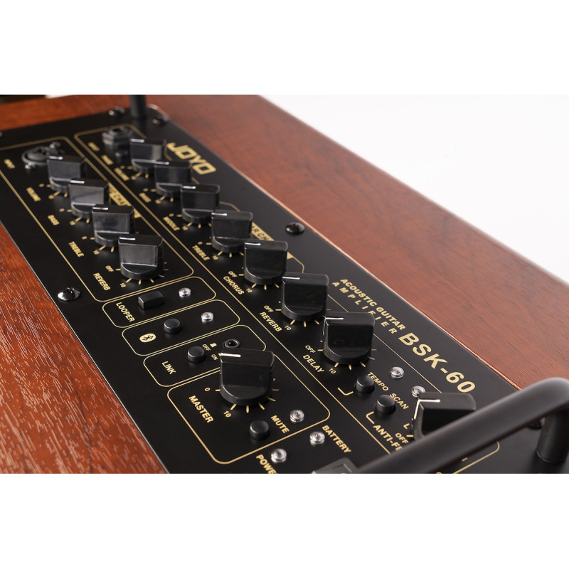 JOYO BSK-60 Amplificador para guitarra electroacustica