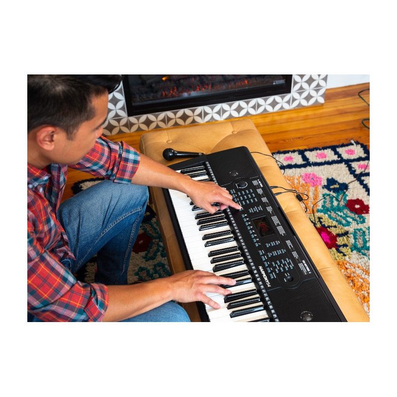 ALESIS HARMONY 54 XUS Teclado de 54 teclas