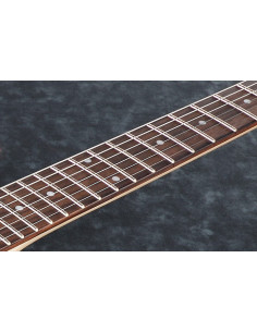 IBANEZ RGMS7-BK Guitarra electrica 7 cuerdas multiescalas