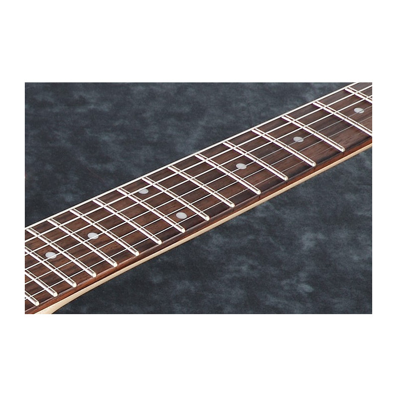 IBANEZ RGMS7-BK Guitarra electrica 7 cuerdas multiescalas