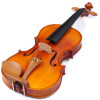 GREKO VW212MF Violin con estuche