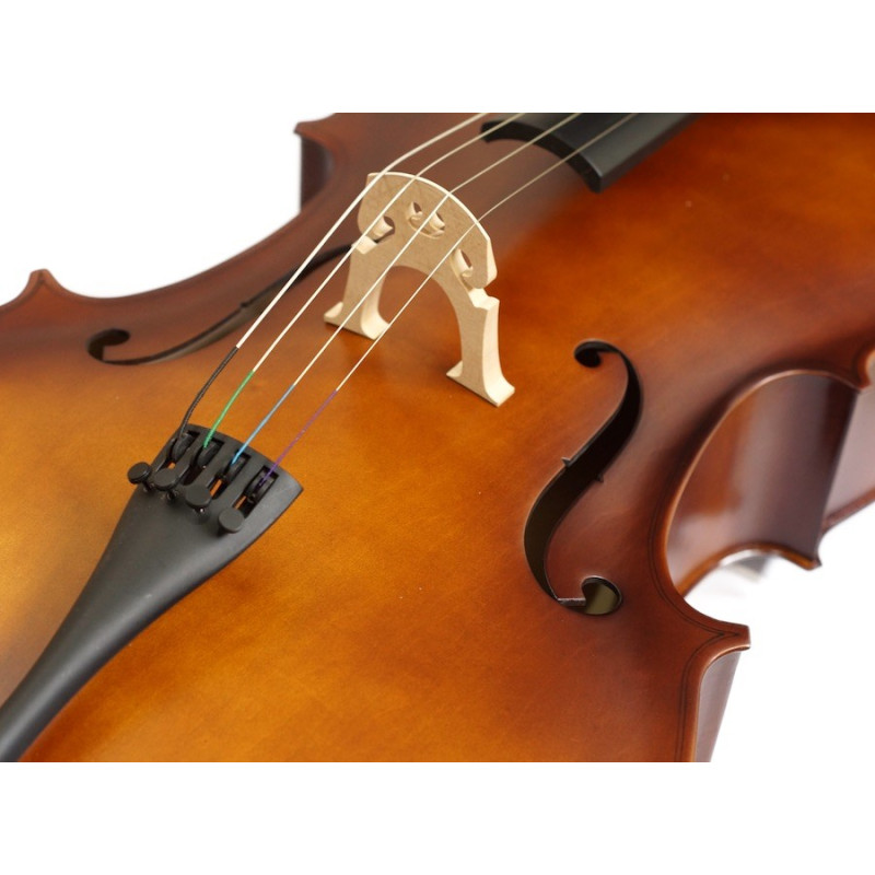 GREKO CB101 Cello con estuche
