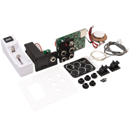 GUITTO GGP-02 Microfono para guitarra acustica