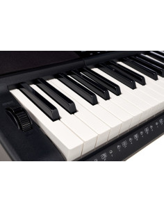 CASIO CT-X800 Teclado Electronico
