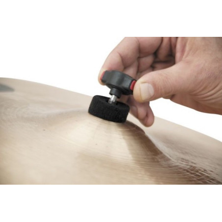 TAMA QC8 Seguro para platillos