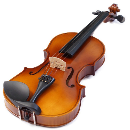 GREKO VB301M Violin con estuche