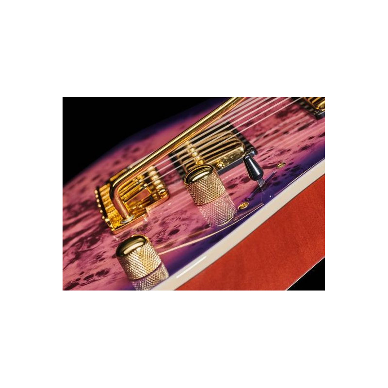 IBANEZ GRG220PA-RLB Guitarra Electrica