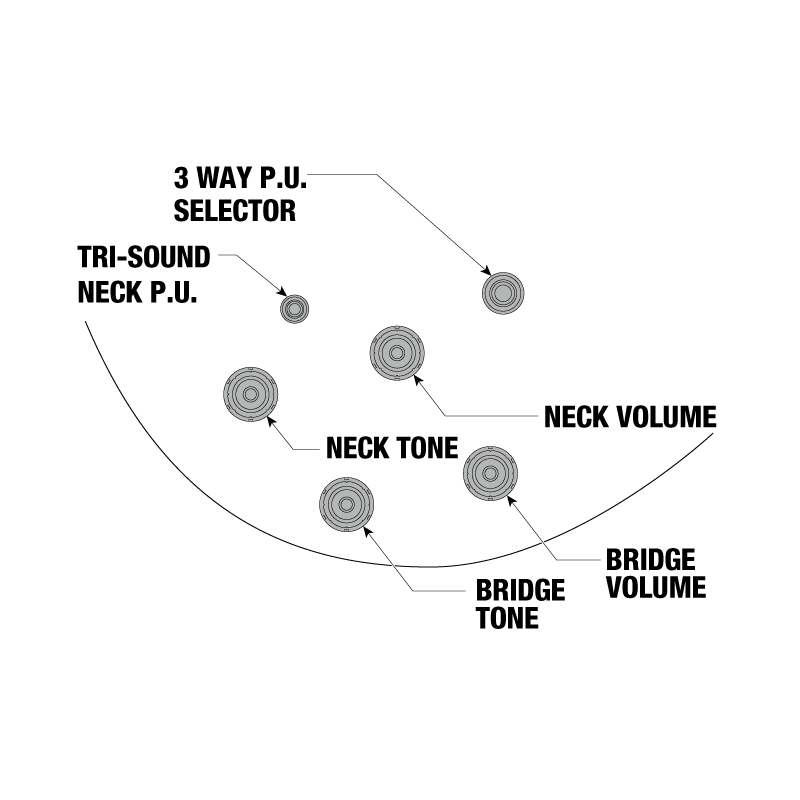 Ibanez AMH90 Guitarra eléctrica de cuerpo hueco de serie Artcore
