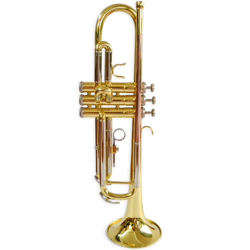 Trompeta Aristton Bb 6419L con Estuche y Accesorios - Ideal para Estudiantes