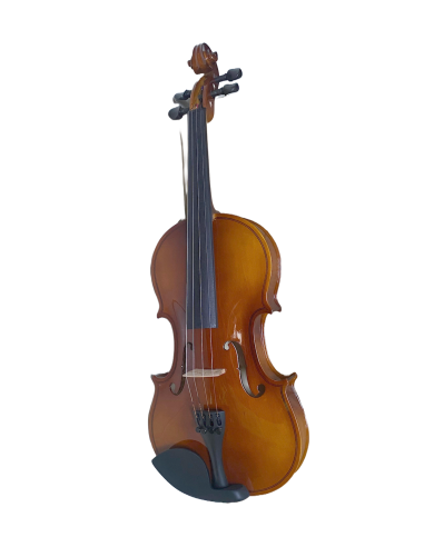 LZS V08844NB Violin 4/4 brillante con estuche