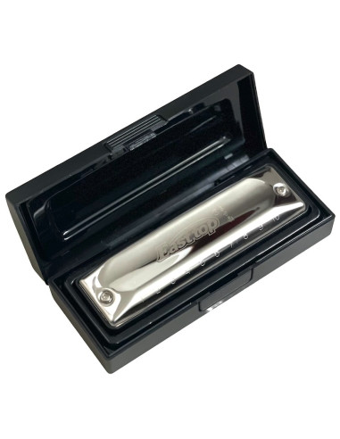 Armónica EASTTOP T002 diatónica 10 agujeros