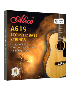 ALICE A619 Encordado para bajo electroacústico